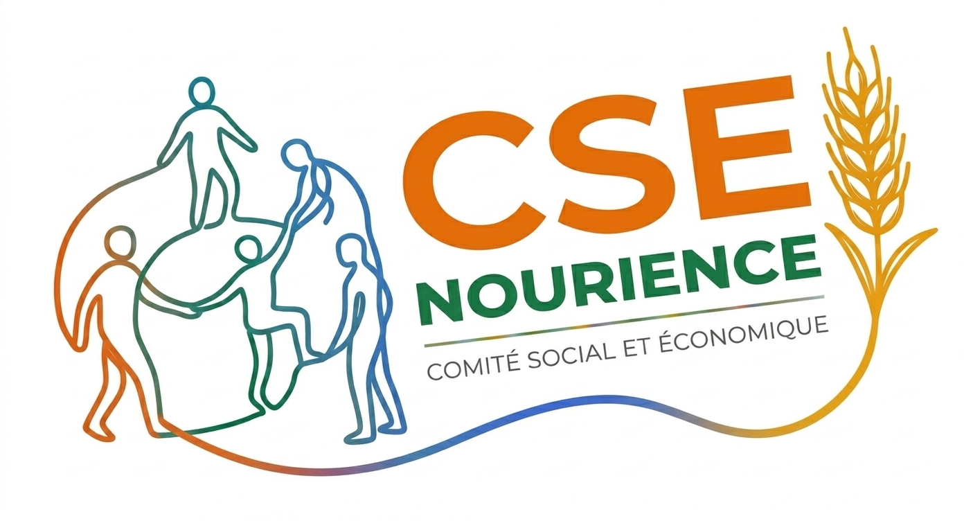 CSE COMITE PLUS